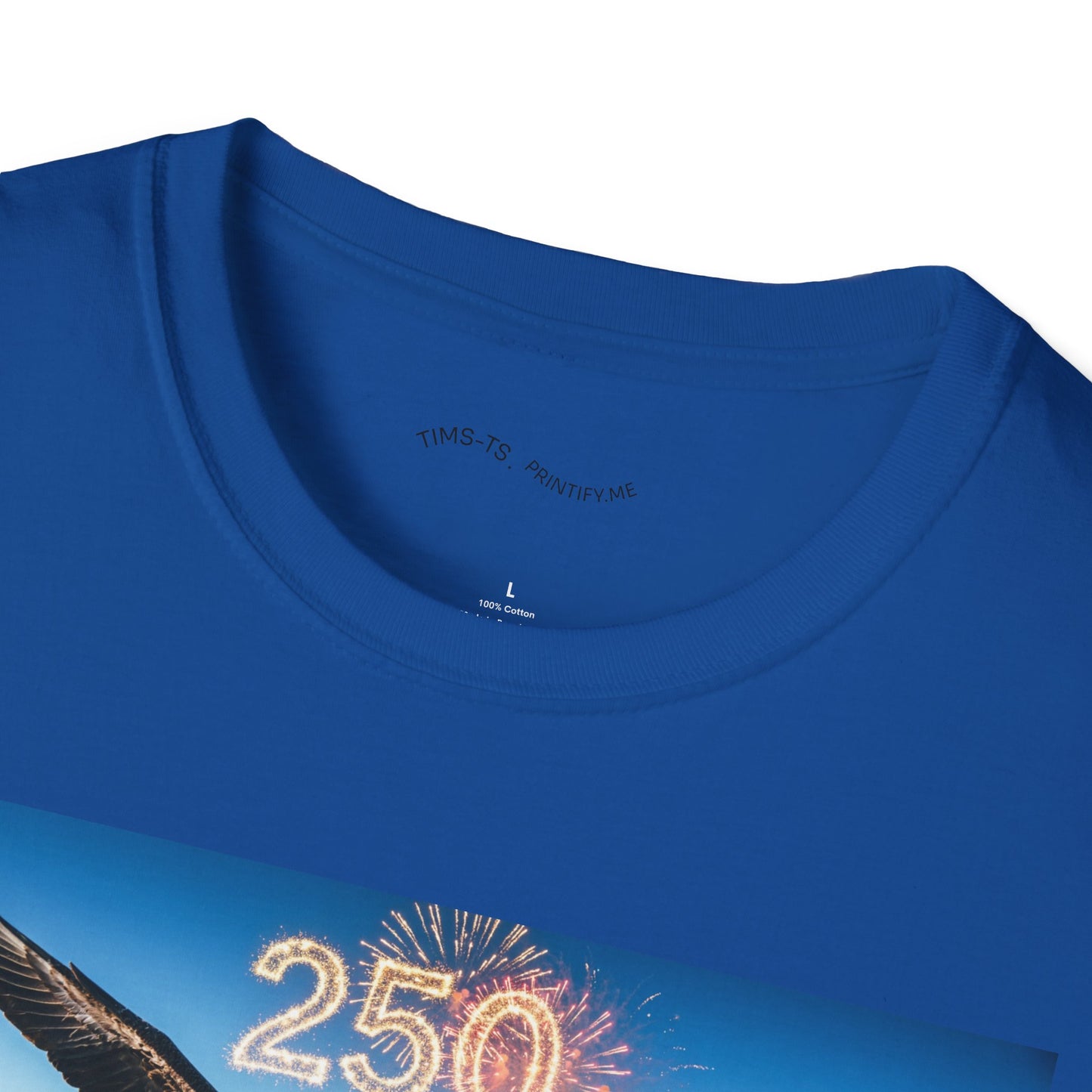 Patriotic Eagle T-Shirt – '250' Fireworks & American Flag Mountain Design