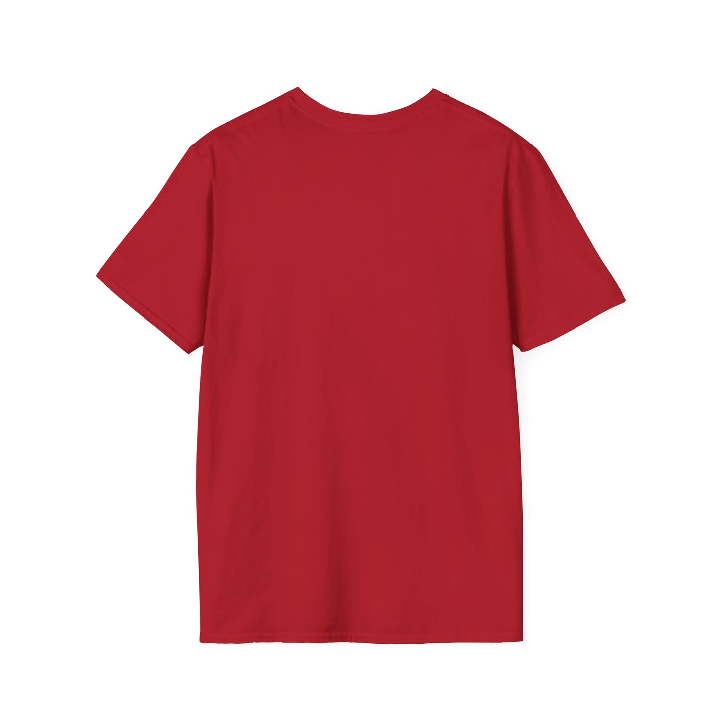 Patriotic Eagle T-Shirt – '250' Fireworks & American Flag Mountain Design