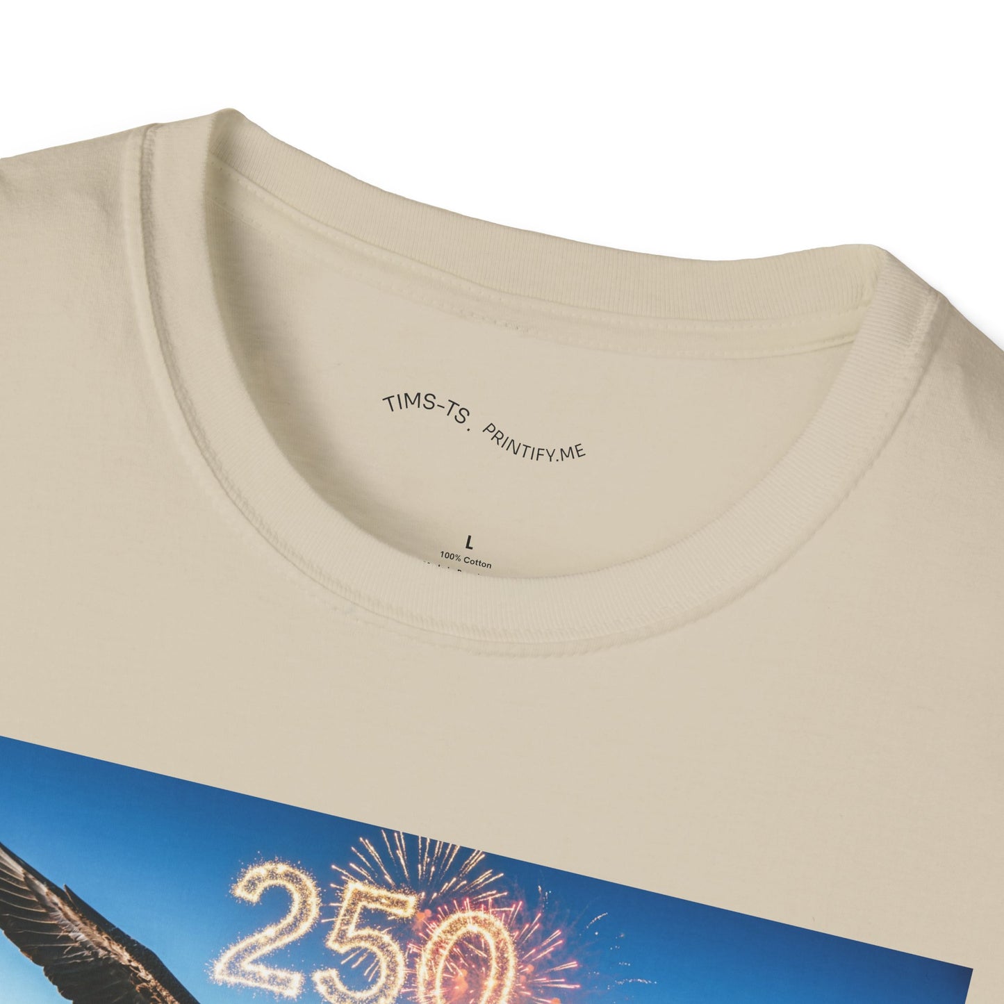 Patriotic Eagle T-Shirt – '250' Fireworks & American Flag Mountain Design